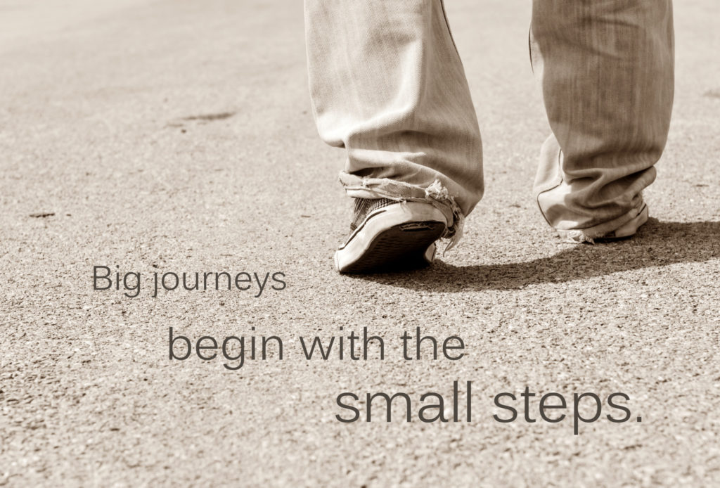 Big Journeys, Small Steps Big Journeys, Small Steps