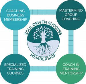 Soul Driven Success - Business Academy For Professional Coaches