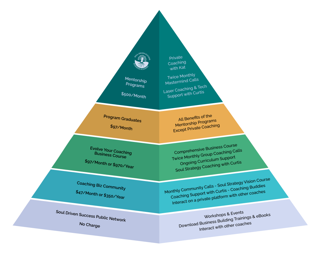 SDS Community Pyramid - Soul Driven Success