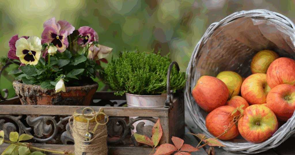 Your Harvest Season Is On The way!